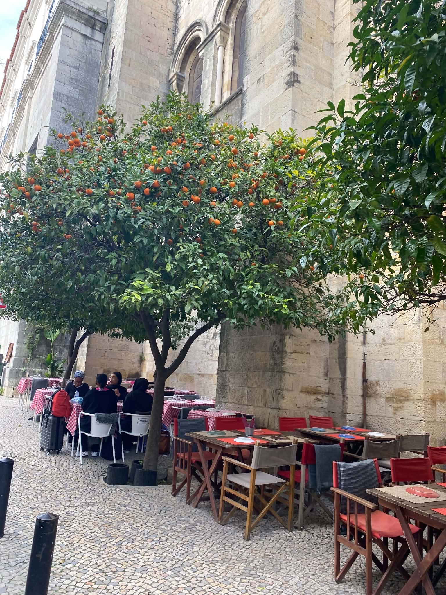Orange tree outside a Lisbon church