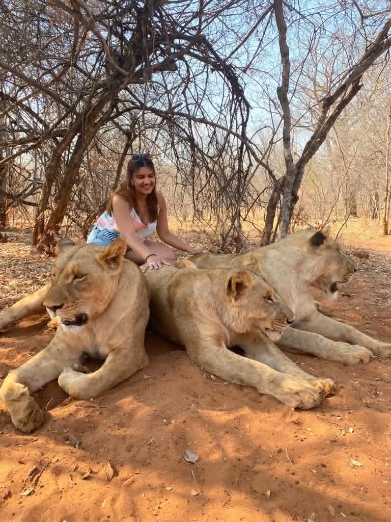 Lions