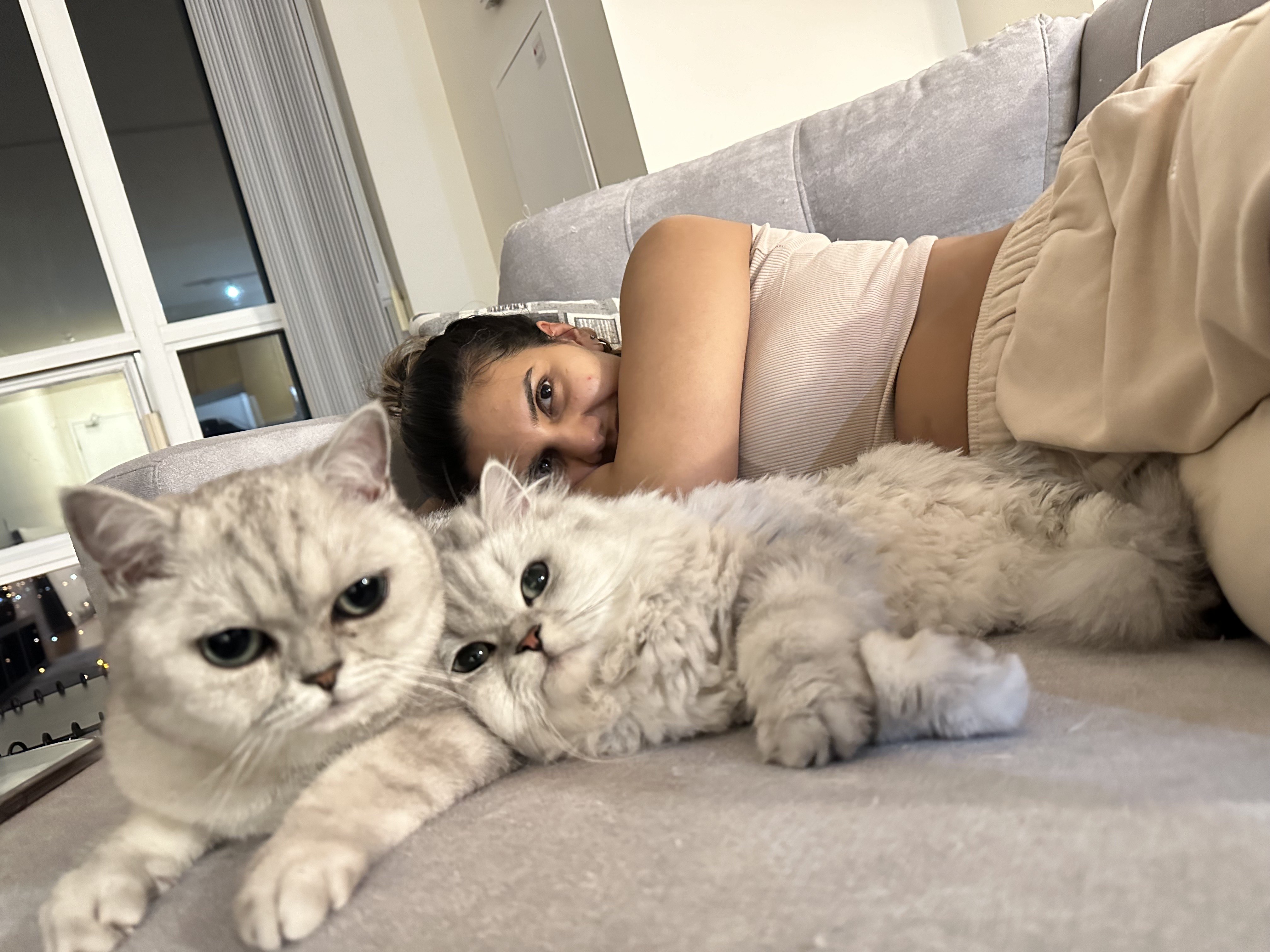 Imaan with her cats